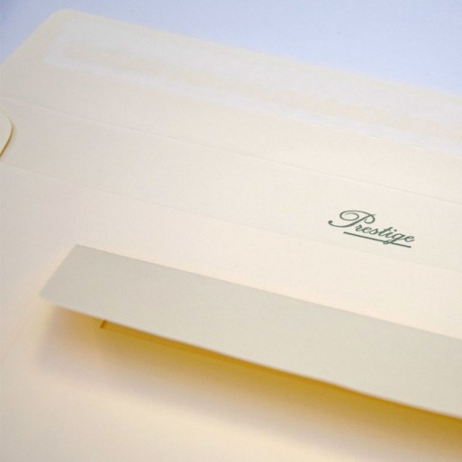 Sobre 114x162 Prestige tira silicona crema registro 120 gms