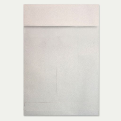 Bolsa 260x330 Double Kraft tira silicona doble kraft blanco 100 gms fuelle 30 mm