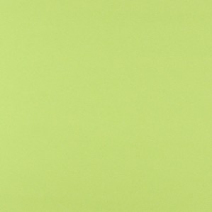 Cartulina  Verde Mondego 3N 50x65 Lousa 180 gms