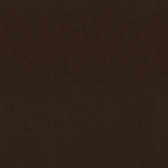 Cartulina  Cuero 10M  50x65 Lousa 180 gms