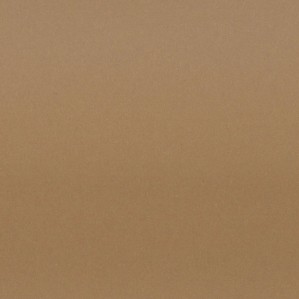Cartulina  Cuero 10M  50x65 Lousa 180 gms 2