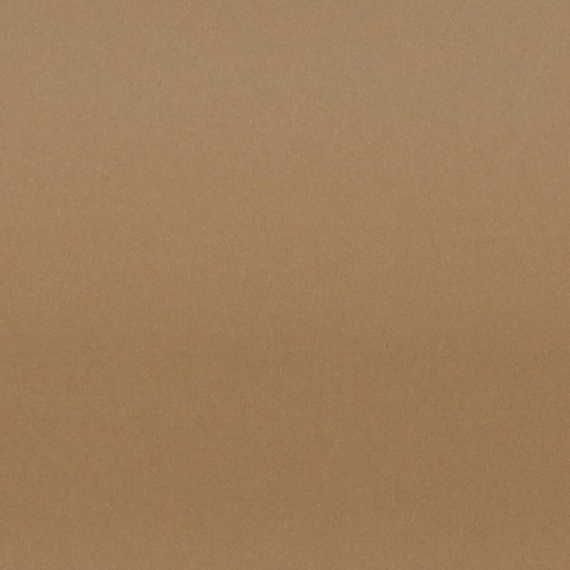 Cartulina  Cuero 10M  50x65 Lousa 180 gms