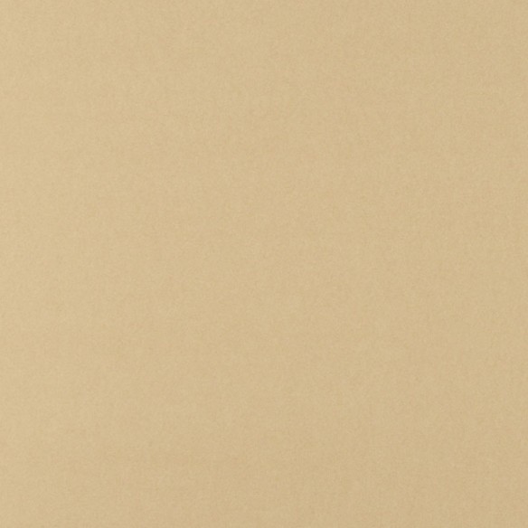 Cartulina  Avellana 4D 50x65 Lousa 180 gms