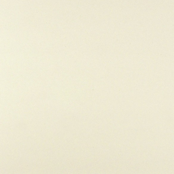 Cartulina  Gris ceniza 9 50x65 Lousa 180 gms