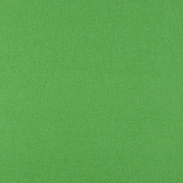 Cartulina  Verde Miño 3M 50x65 Lousa 250 gms