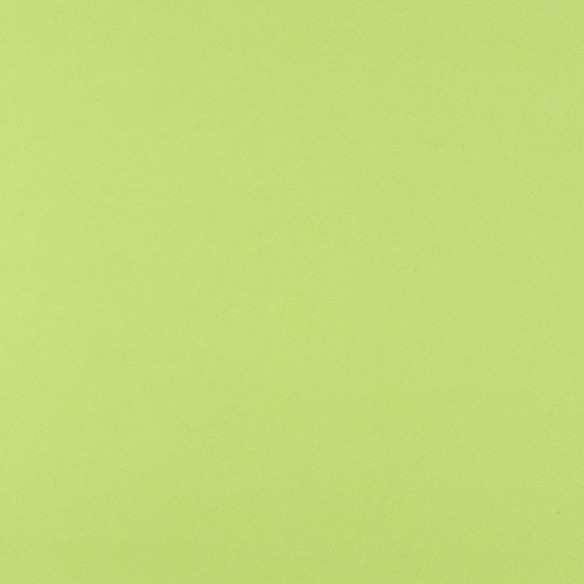 Cartulina  Verde Mondego 3N 50x65 Lousa 250 gms