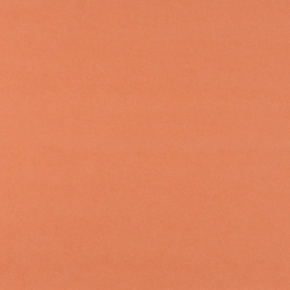 Cartulina  Ladrillo 6F 50x65 Lousa 250 gms