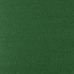 Cartulina  Verde Navidad  50x65 Lousa 250 gms