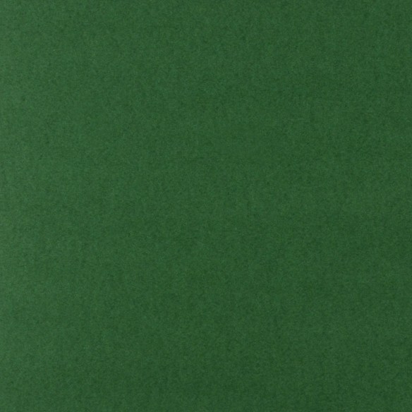 Cartulina  Verde Navidad  50x65 Lousa 250 gms