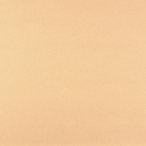 Cartulina  Papaya 6 50x65 Lousa 250 gms