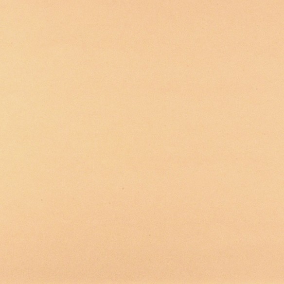 Cartulina  Papaya 6 50x65 Lousa 250 gms