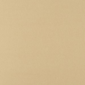 Cartulina  Avellana 4D 50x65 Lousa 250 gms