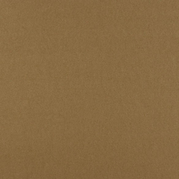 Cartulina  Marrón 10T 50x65 Lousa 250 gms