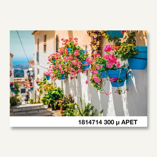 Poliester apet transparente brillo 32x45 300 µm 388 gms