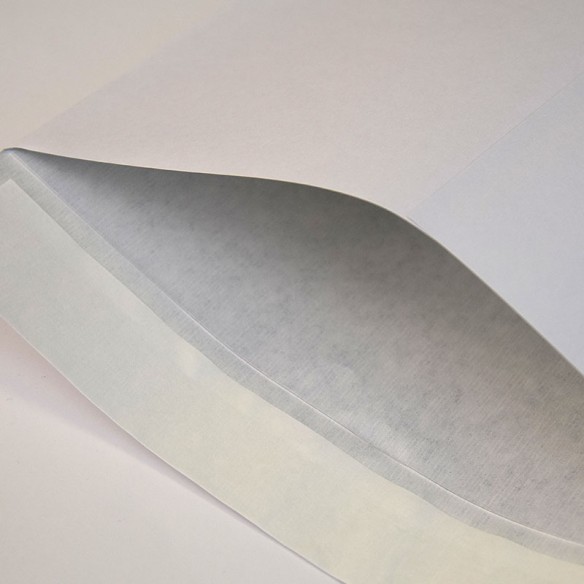 Bolsa 250x353 Securitex tira silicona securitex 130 gms