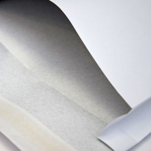 Bolsa 229x324 Securitex tira silicona securitex 130 gms fuelle 38 mm 2