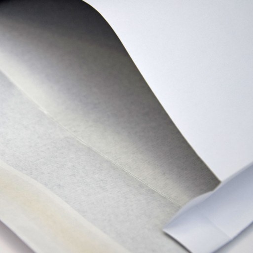 Bolsa 250x353 Securitex tira silicona securitex 130 gms fuelle 38 mm