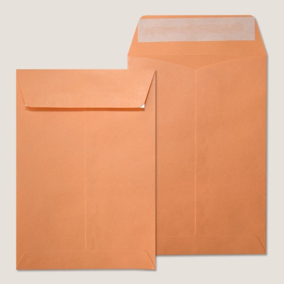 Bolsa 162x229 tira silicona chamoix 90 gms