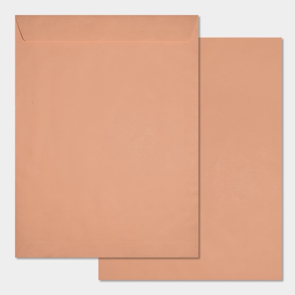 Bolsa 310x410 tira silicona chamoix 90 gms