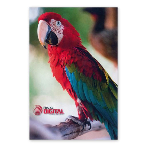 Cartulina  Blanco 32x45 Prado Digital 250 gms