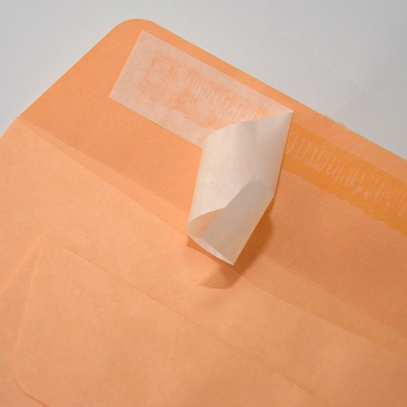 Bolsa 250x353 tira silicona chamoix 90 gms