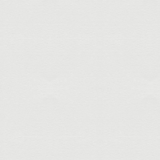 Cartulina  Blanco 33x48 FSC verjurada 224 gms 