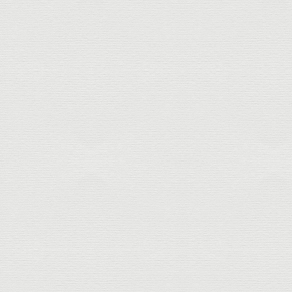 Cartulina  Blanco 33x48 FSC verjurada 224 gms 