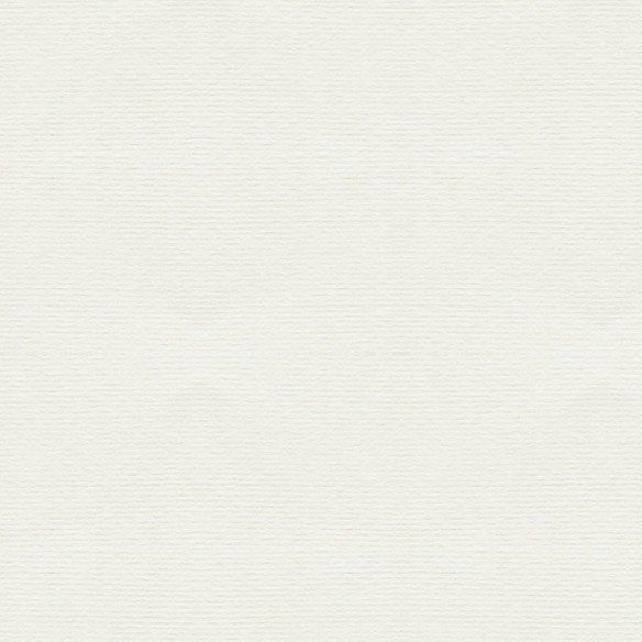 Verjurado marfil (blanco neutro) 45x64 FSC 100 gms 